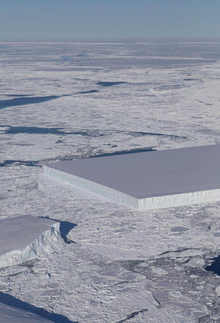 Image comparative de l'iceberg de la NASA et du ring du Tournoi de Cell