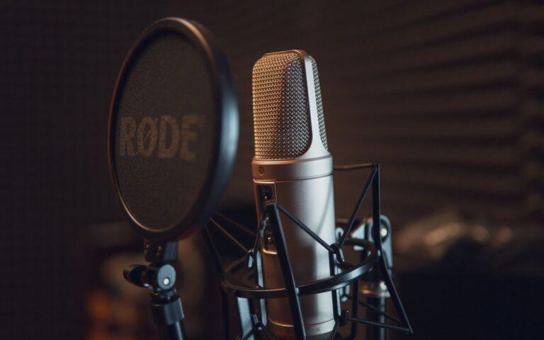 Acteurs de voix allemands contre Netflix et l&rsquo;IA : le grand boicot