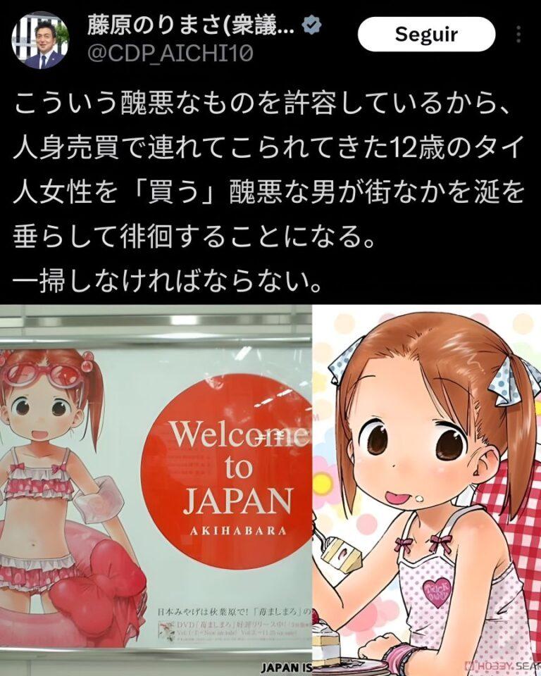 Politique Japon : L&rsquo;anime coûte un siège électoral